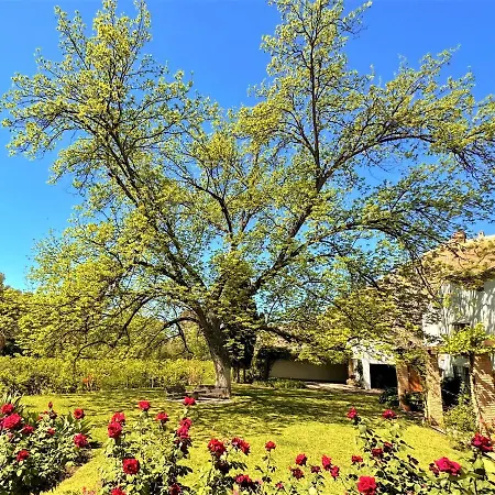 Prázdninový dům Casa Santa Catalina *